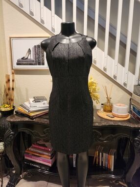 Taylor dress size 6